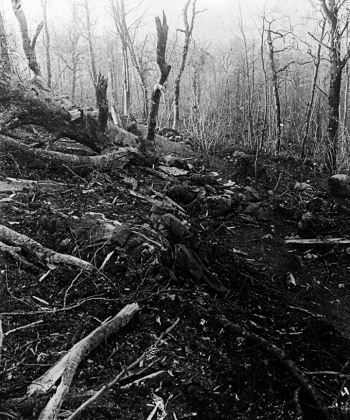 Gefallene Soldaten in einem Waldstück bei Les Eparges, Frühjahr 1915