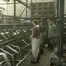 Industrieproduktion für die Besatzungsmacht: Ein deutscher Soldat steht neben Textilarbeiterinnen in einer  Fabrik im belgischen Menen.