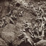 Österreichische Truppen klettern eine Felswand im Isonzo-Gebiet hoch, 1915.